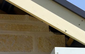 soffit repair Kingsley Holt